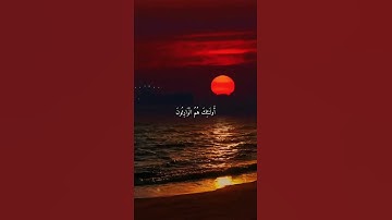 قرآن كريم القارئ عبدالله الموسى من سورة (المؤمنون)