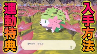 【幻ポケモン】剣盾連動特典のシェイミの入手方法も簡単すぎたww【ポケモンレジェンズアルセウス】