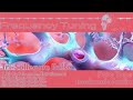 Tri-Solfeggio Isochronic Pulse • 174Hz | 396Hz | 528Hz • Deep Centered Alignment | Frequency Tuning