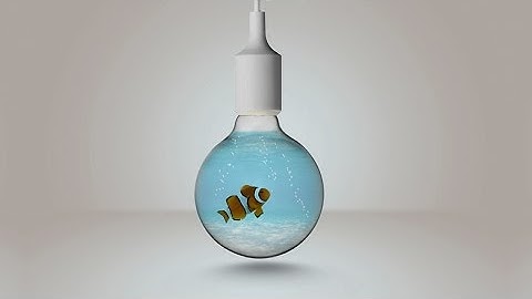 Object Photo Manipulation [Bulb, Fish and Water] in Photoshop