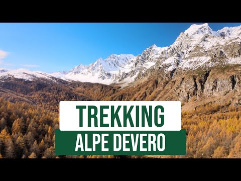 Video: Sentiero Alieno Nella Taiga - Visualizzazione Alternativa