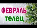 ТЕЛЕЦ  ФЕВРАЛЬ  2020.  Таро прогноз