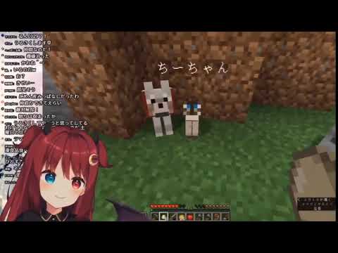 anime girl creeper explosion minecraft dog cat Yuzuki Roa