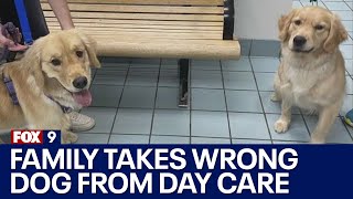 Family mistakenly takes wrong dog from day care