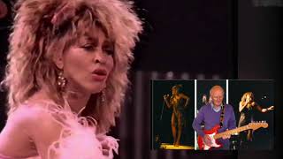 Video thumbnail of "PRIVATE DANCER - TINA TURNER / DIRE STRAITS guitar instrumental cover"