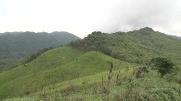 IND231 - Answer to Mette & Sietske