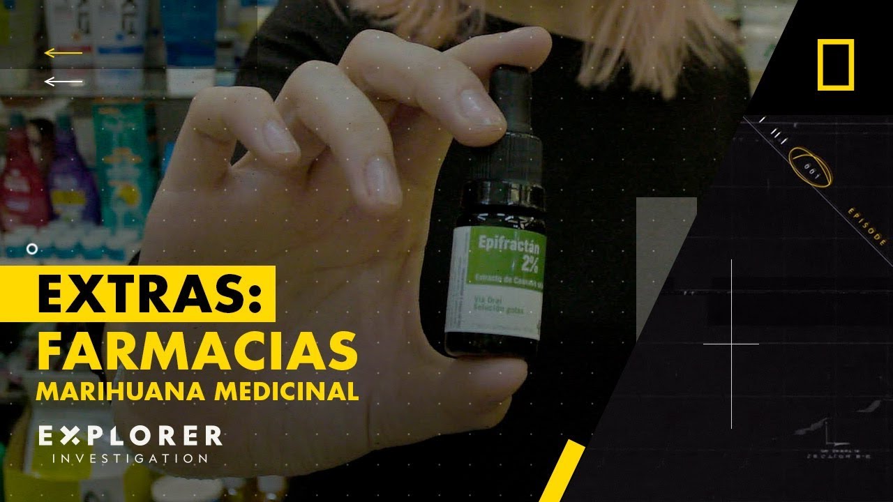 Cannabis legal en Uruguay | Marihuana medicinal - #ExplorerInvestigation