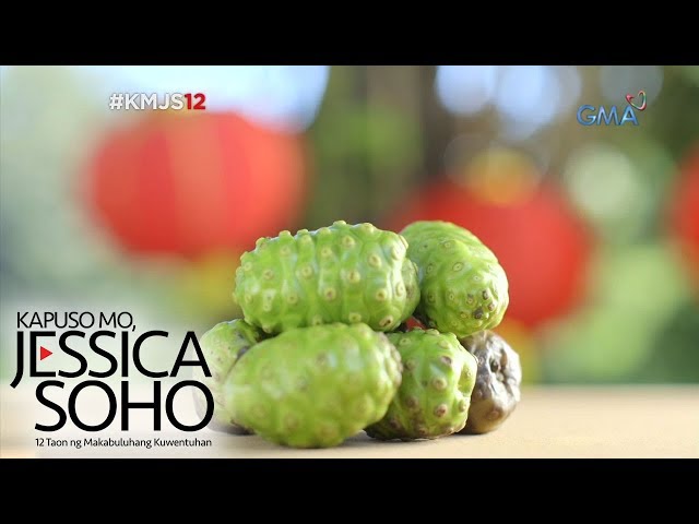 Kapuso Mo, Jessica Soho: Noni Fruit: Gamot o Lason? class=