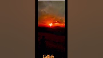 Thumbnail of Calliata — Bad Bunny