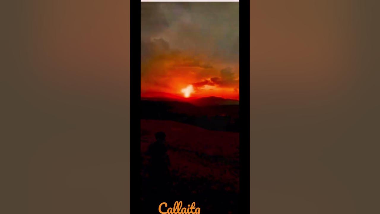 Calliata — Bad Bunny