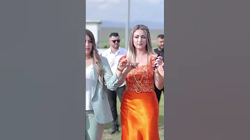 دبكه ترند المجوز 