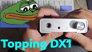 Topping DX1 Review (Disappointing)