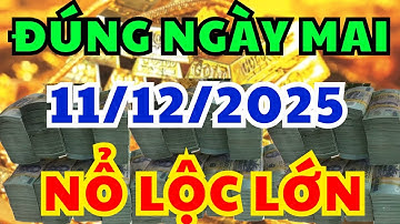 Tử Vi Hàng Ngày 11/12/2025: Con Giáp Được Trời Thương Cho Lộc, Đổi Đời Giàu Có