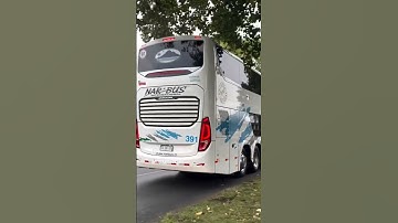 Comil Campione Invictus DD | Scania K450C | Nar Bus (391)