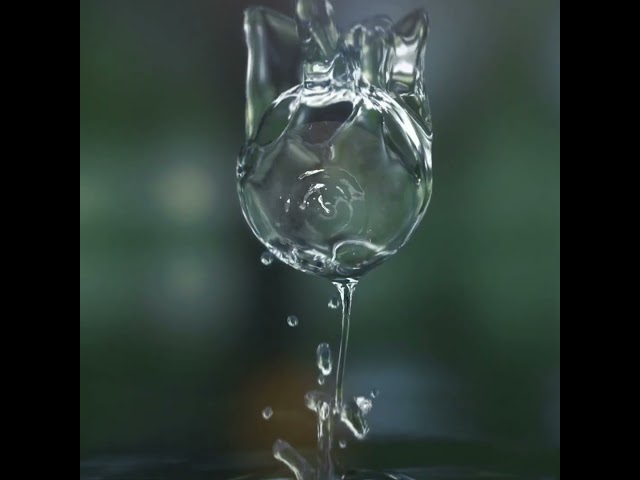 The Best Time to Plant a Tree? RJP Scottsdale & Tucson  #estateplanning