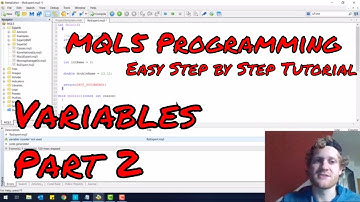 MT5 Programming Tutorial - Variables - Part 2