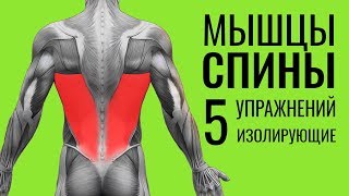 МЫШЦЫ СПИНЫ. 5 упражнений + ОШИБКИ УНИЧТОЖАЮЩИЕ ПРОГРЕСС! видео Упражнения для тренировки мышц спины