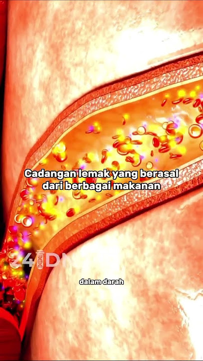 Trigliserida itu apa? #Tesdna