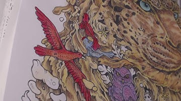 Imagimorphia - How I color Part5
