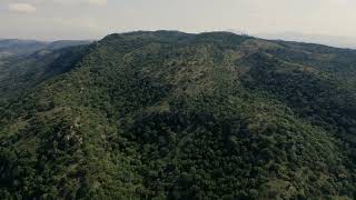 tree covered mountains 1762 medium