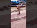भर्ती फिर आ रही है