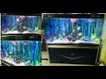 Minjiang fish aquarium ..High Back arowana,single band dolllar