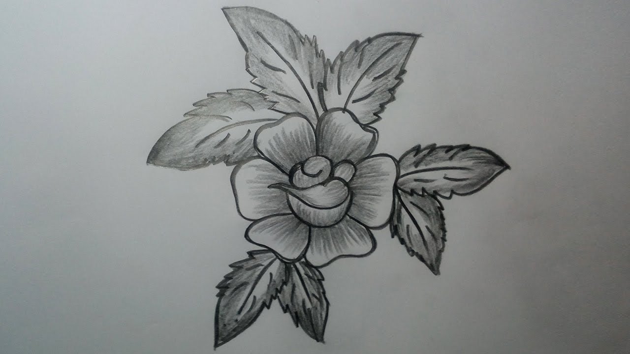 How to Draw a rose Pencil Drawing and Shading for