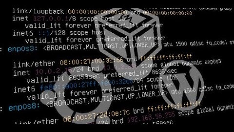 Установка LAMP WordPress phpmyadmin на Ubuntu 20