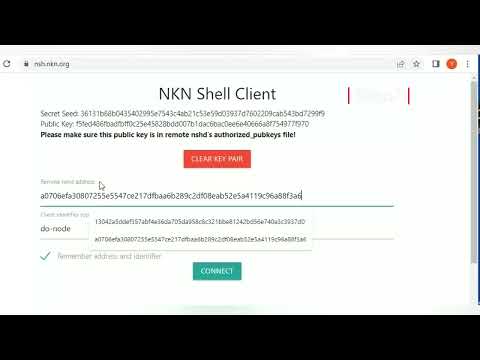 NKN Shell nShell/nsh tutorial