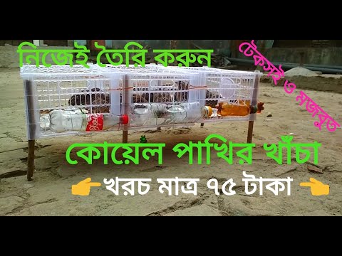 ভিডিও: কোয়েলের খাঁচা বানানো