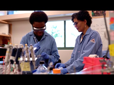 Pomona College | The Adventure is in the Opportunities