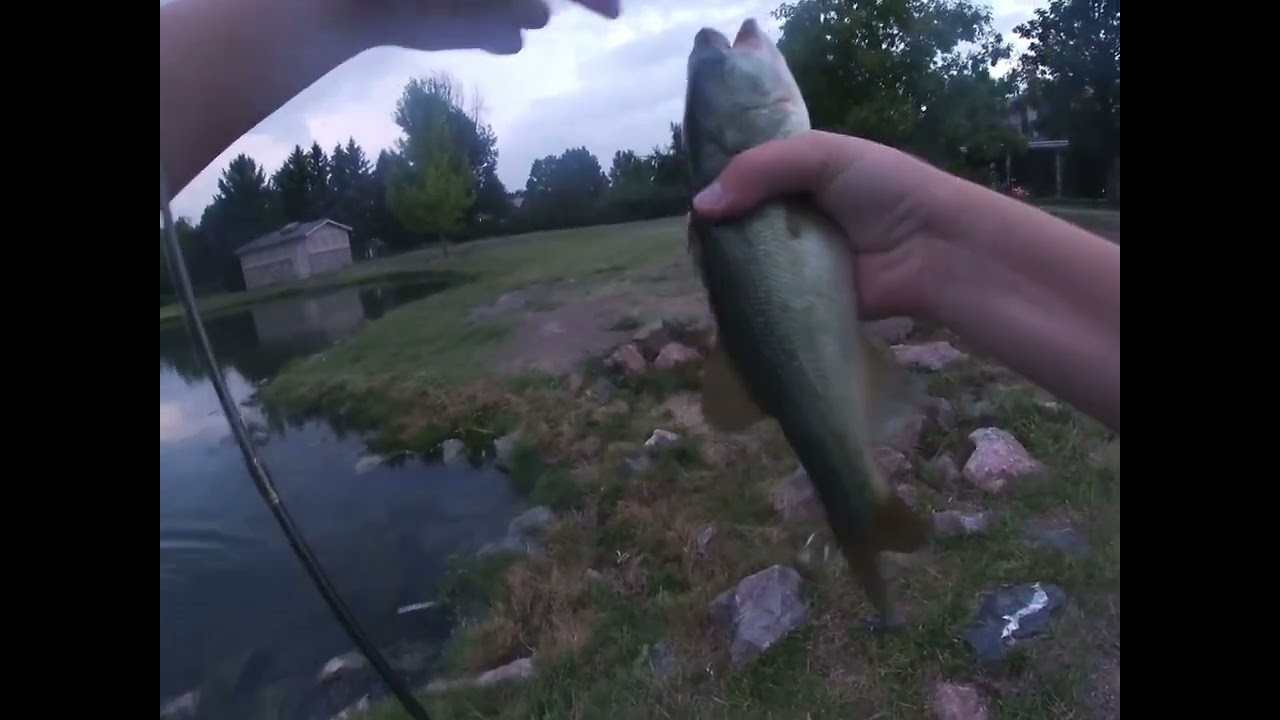 Bass fishing with my friend