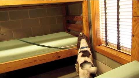 Bedbug Detection Training Video