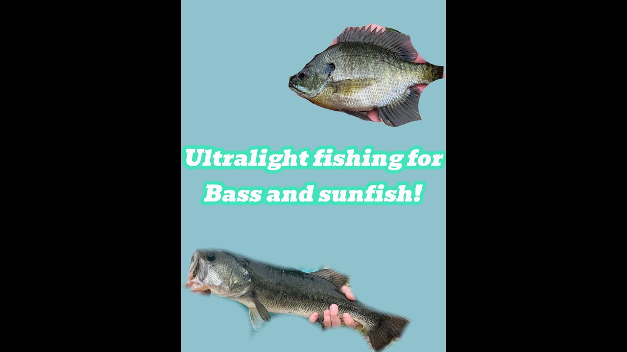 Ultralight fishing for sunfish and bass!