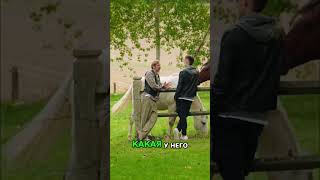 В чем смысл жизни? Социальный инстинкт и провокация #shorts