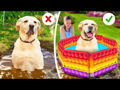 So Funny! 27 Simple Hacks And Useful Gadgets for Your Dog🐶❤️