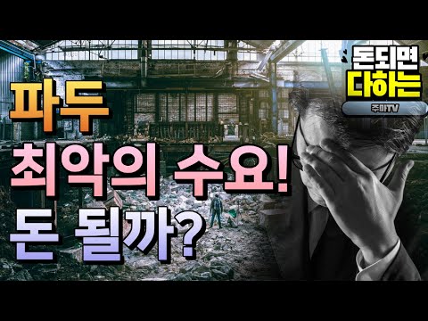 공모주] 파두 수요예측 결과 최악!! 공모주 청약 해야 되나?