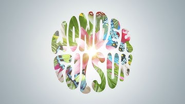 Used - Wonderful Sun (Official Video)