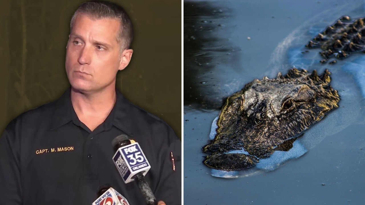 Police captain discusses deadly Central Florida alligator attack