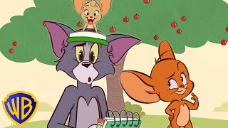 teach tom count learning tom jerry atwbkids