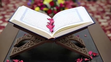 تلاوة أكثر من رائعة لسورة المنافقون  للقارئ مشاري البغلي
