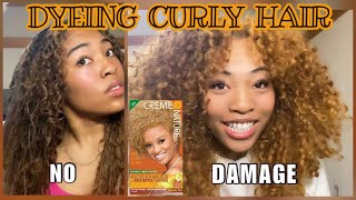 DYEING MY NATURAL HAIR WITH CREME OF NATURE: lightest blonde with No Damage🙌🏽✨