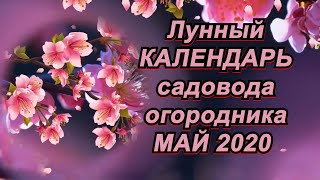 ЛУННЫЙ КАЛЕНДАРЬ САДОВОДА и ОГОРОДНИКА на МАЙ 2020 года.