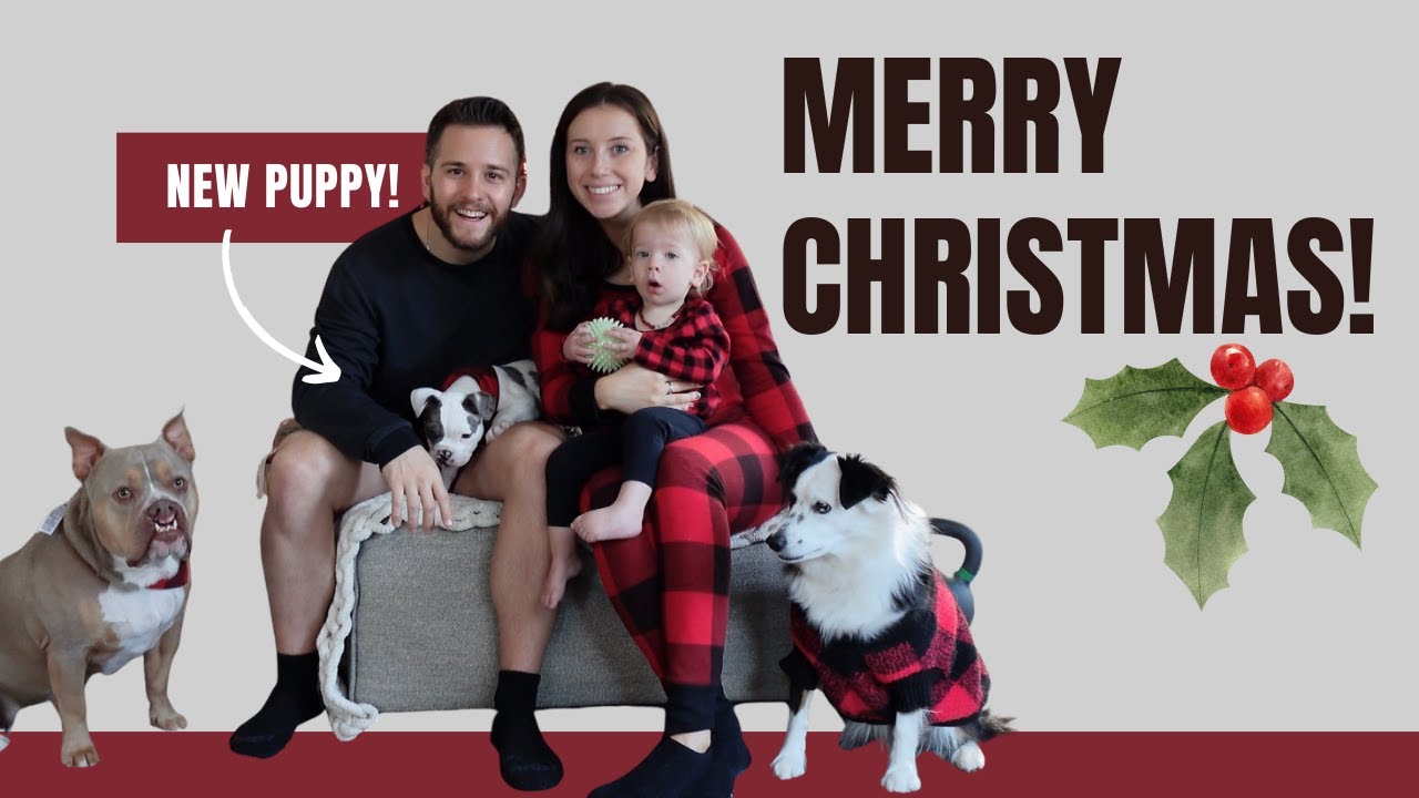 We ADOPTED a new puppy!! - Christmas Vlog - YouTube