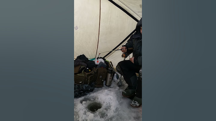 На креветку в море зимой