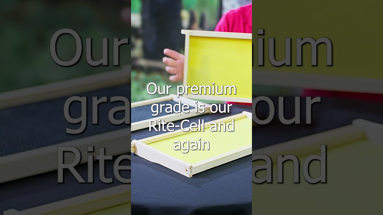 Mann Lake Bee Frames – Beekeeping Essentials for Your Hive