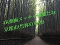 4K動画 4K video京都市「竹林の小径」