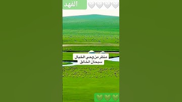 الم تر الى ربك كيف مد الظل… | سورة الفرقان 💚