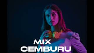 TOP LAGU JOGET CEMBURU RANI DEPOK FT MISTER LANA