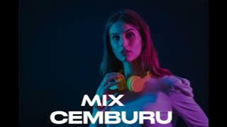 TOP LAGU JOGET    CEMBURU                     RANI DEPOK FT MISTER LANA